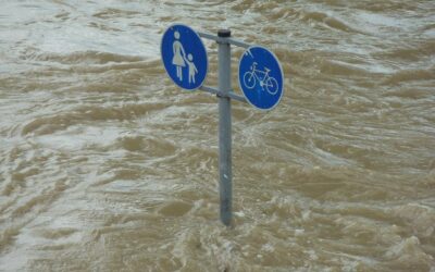 Miet- und Versicherungsrechtliche Probleme rund um die Hochwasserkatastrophe